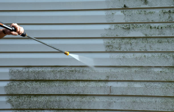 Best Sidewalk and Walkway Cleaning  in Kirksville, MO